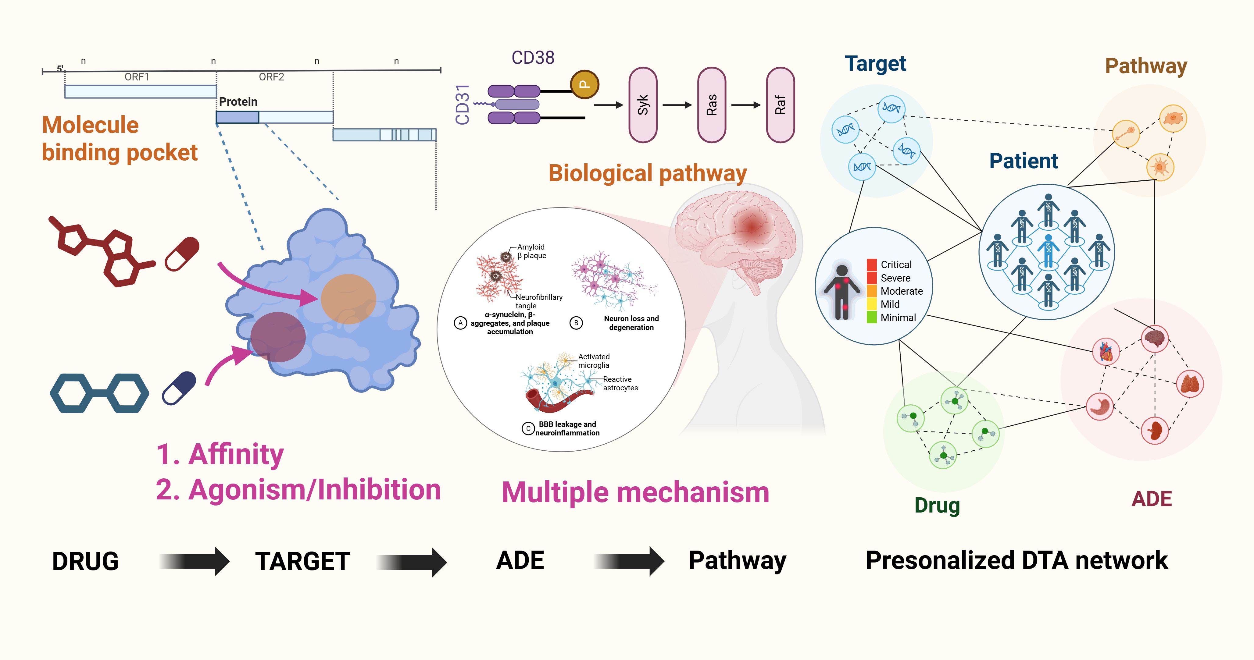 Mechanistic insights